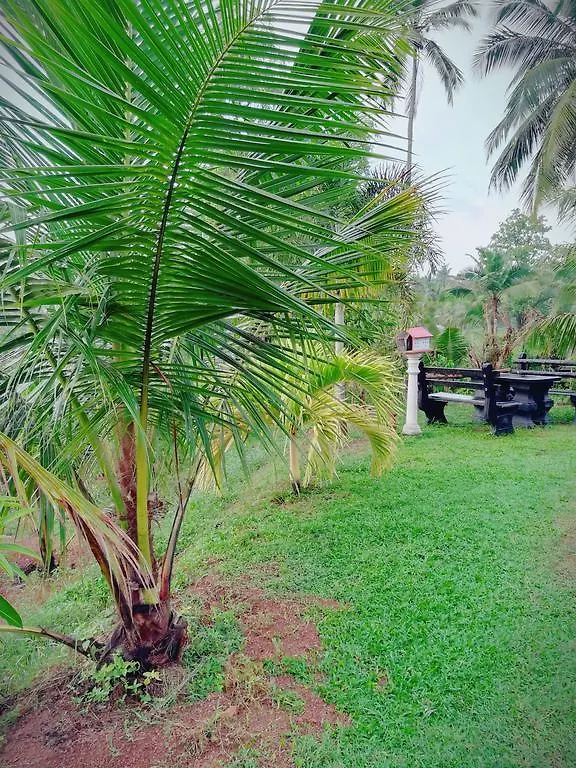 Lakhiru Holiday Resort Negombo 0*,